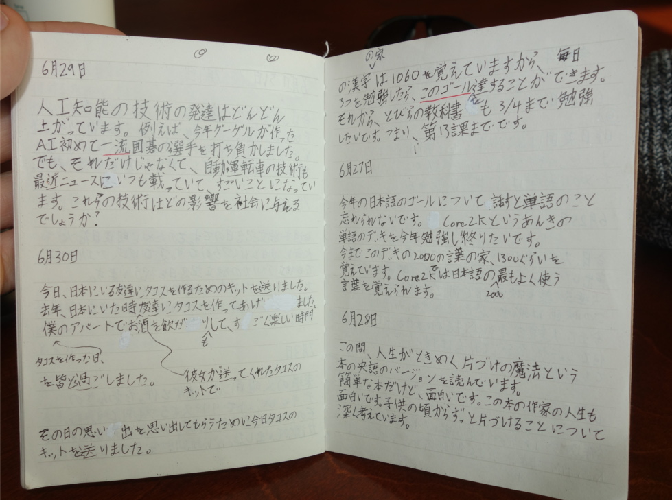 Japanese Diary