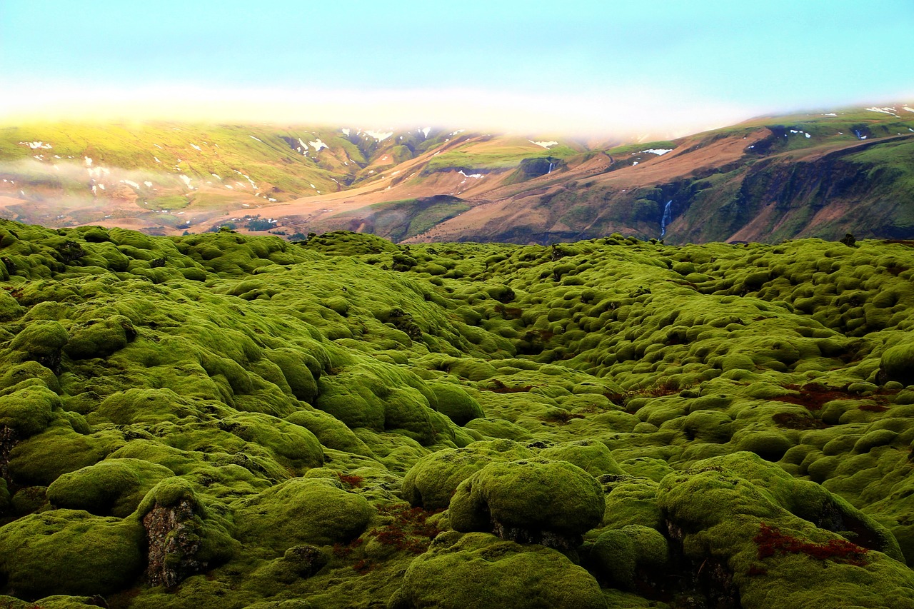 what to do june iceland green mountains