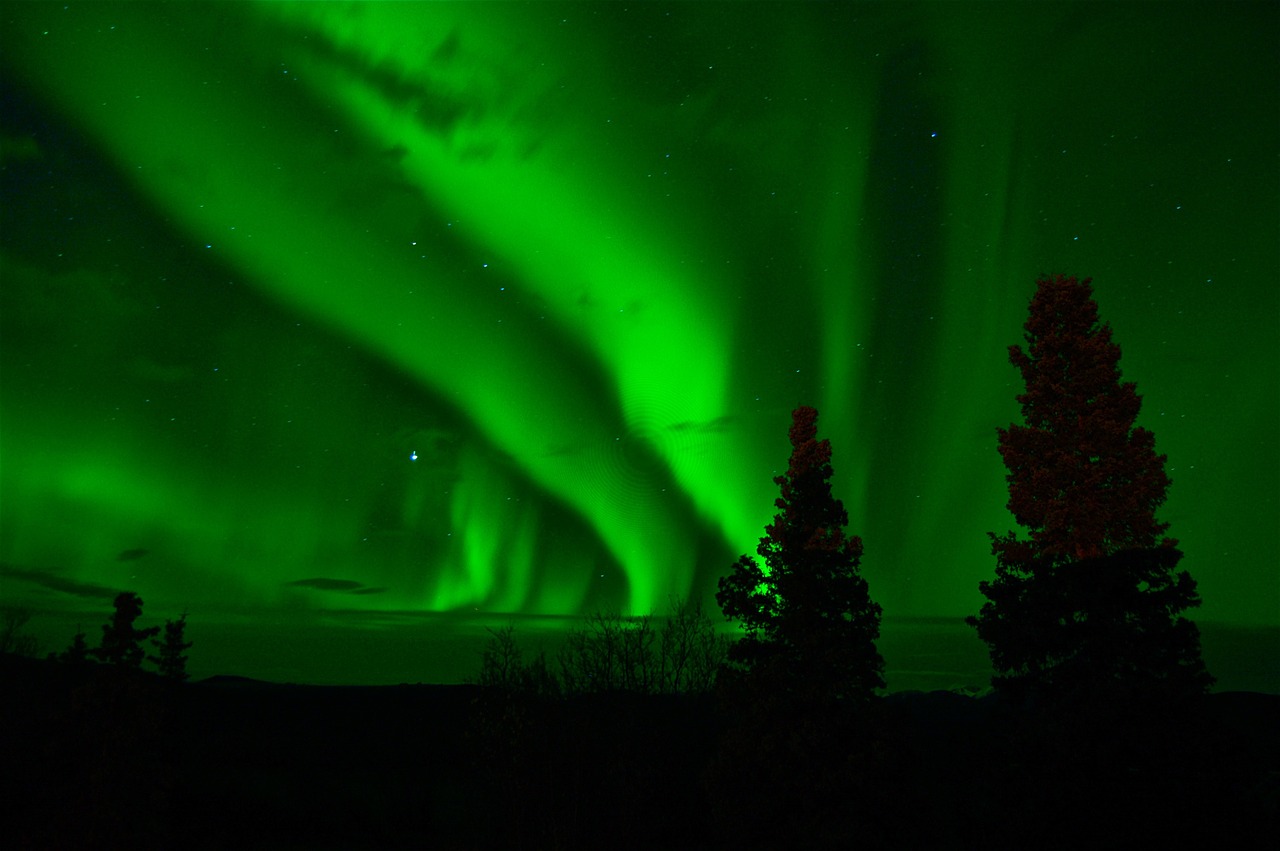 green northern lights iceland in forest